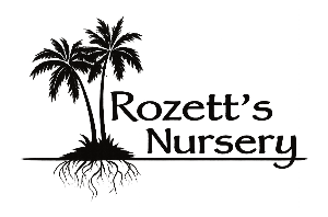 Rozett's Nursery